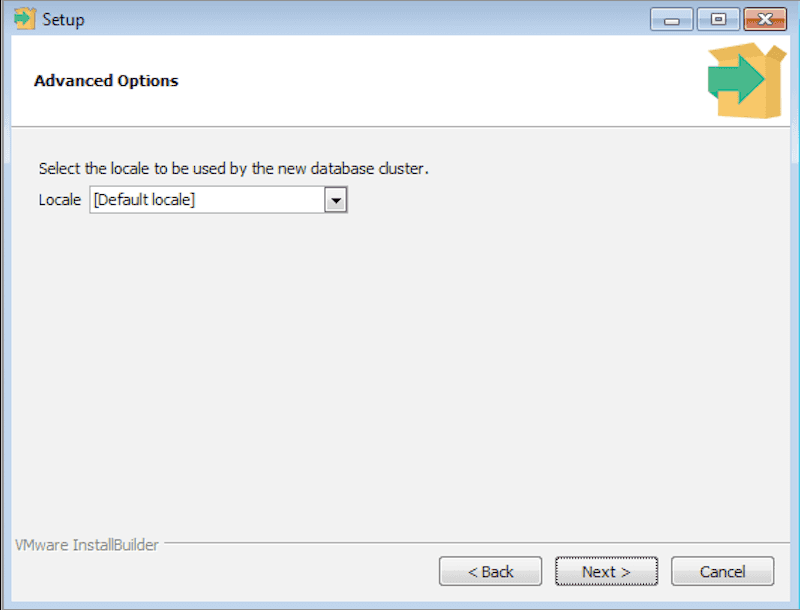 The Advanced Options window